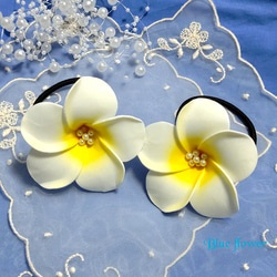 0_436f33cdc2d09938b5d18e4a3f2e