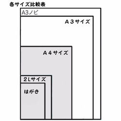 A4大小的白鷺華爾茲 第6張的照片