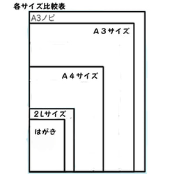 [重新×4銷售]流星2L尺寸 第2張的照片