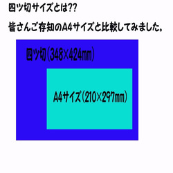 額装済み　「この世界は飲み込んだ涙のように美しい」 4枚目の画像