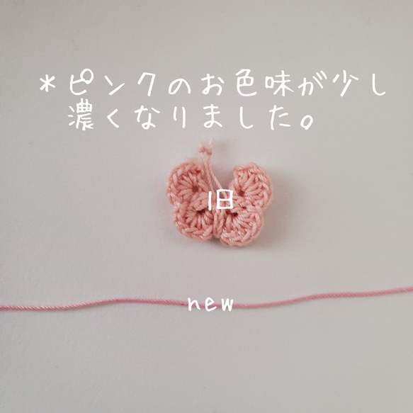  第8張的照片