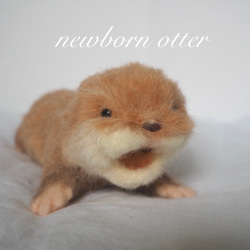 【sold out】newborn カワウソの赤ちゃん（踏んばり）＊＊羊毛フェルト 1枚目の画像