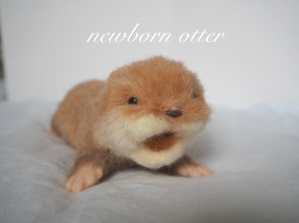 【sold out】newborn カワウソの赤ちゃん（踏んばり）＊＊羊毛フェルト 1枚目の画像