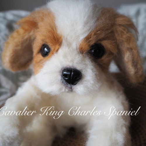 キャバリアの赤ちゃん＊＊羊毛フェルト 羊毛フェルト LOULOU