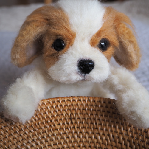 キャバリアの赤ちゃん＊＊羊毛フェルト 羊毛フェルト LOULOU 通販