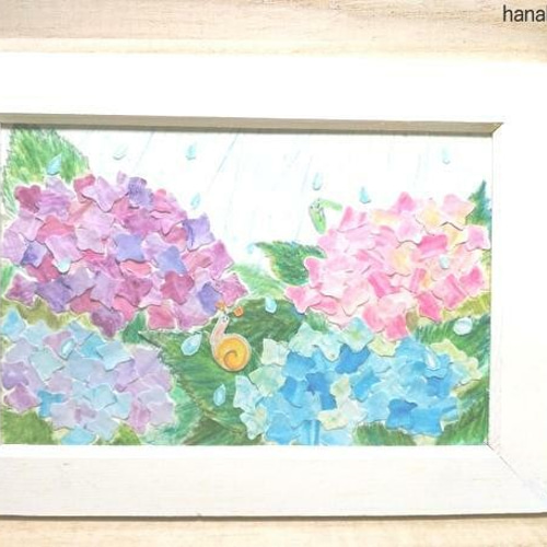 西洋あじさいの絵 西洋紫陽花 アナベル | Hydrangea arborescens cv. annabelle