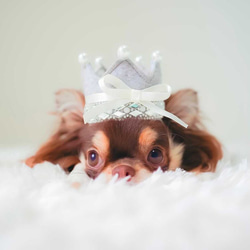 ＜人気商品＞jewelry crown ⭐︎特別な日の王冠/ティアラ　ベビークラウン♪大切な家族の記念日に　犬　猫 13枚目の画像