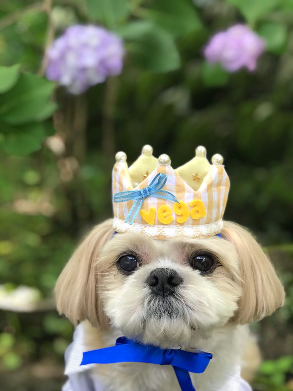 犬用アクセサリー　犬用クラウン　王冠　リバーシブルデザイン　お誕生日に♪ 6枚目の画像