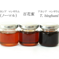 POT HONEY ハリナシバチのハチミツ　アカシア・マンギウム　240ｇ 3枚目の画像