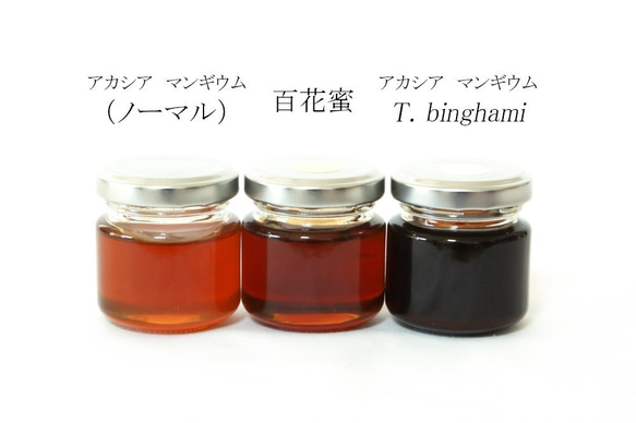 POT HONEY ハリナシバチのハチミツ　アカシア/T.binghami　100ｇ 3枚目の画像