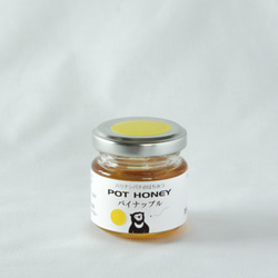 POT HONEY ハリナシバチのハチミツ　パイナップル　40ｇ 1枚目の画像