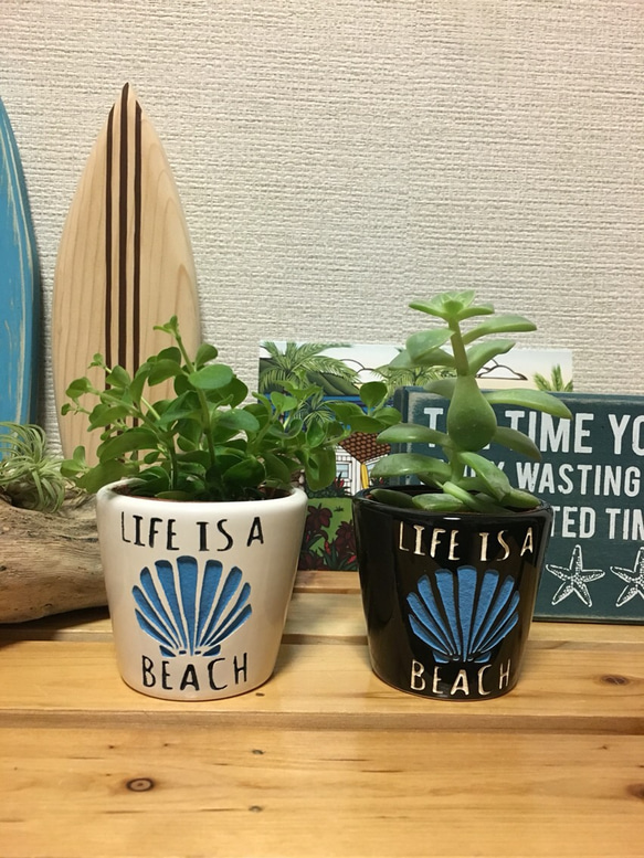 Life is a beach pot （左側のwhite） 1枚目の画像