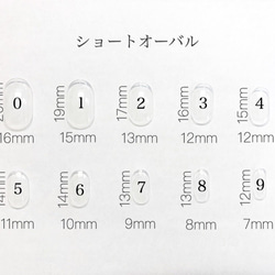 ホワイト×シルバーラメミラーネイルチップ 3枚目の画像