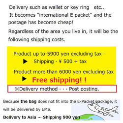 海外发送便宜了!　Overseas delivery has become cheaper! 3枚目の画像