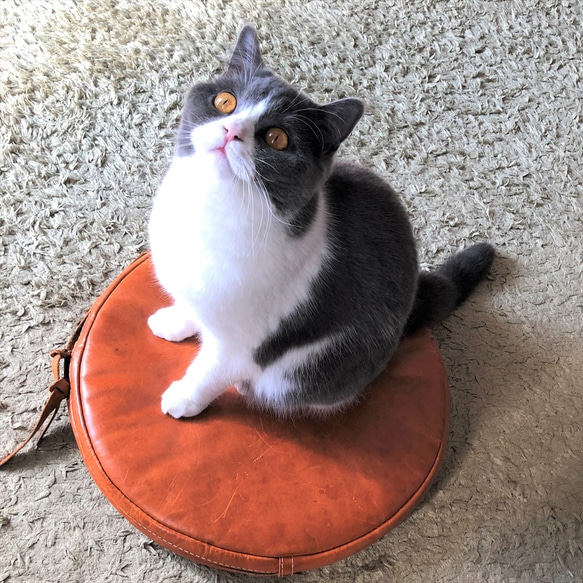 【送料込み】オール本革！レザーフロアクッション丸型（新品） 送料込み】オール本革！レザーフロアクッション丸型（新品