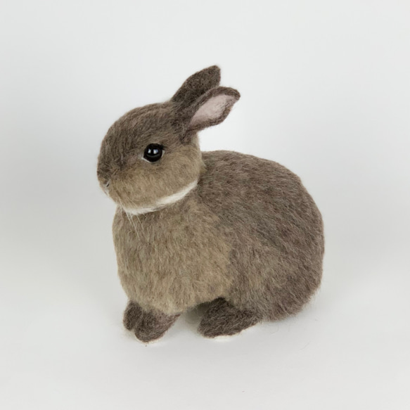 [免費送貨]毛氈兔子栗子｜寵物兔子手工兔子 第1張的照片