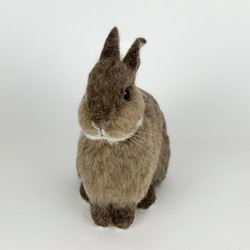 [免費送貨]毛氈兔子栗子｜寵物兔子手工兔子 第2張的照片