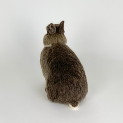 [免費送貨]毛氈兔子栗子｜寵物兔子手工兔子 第3張的照片