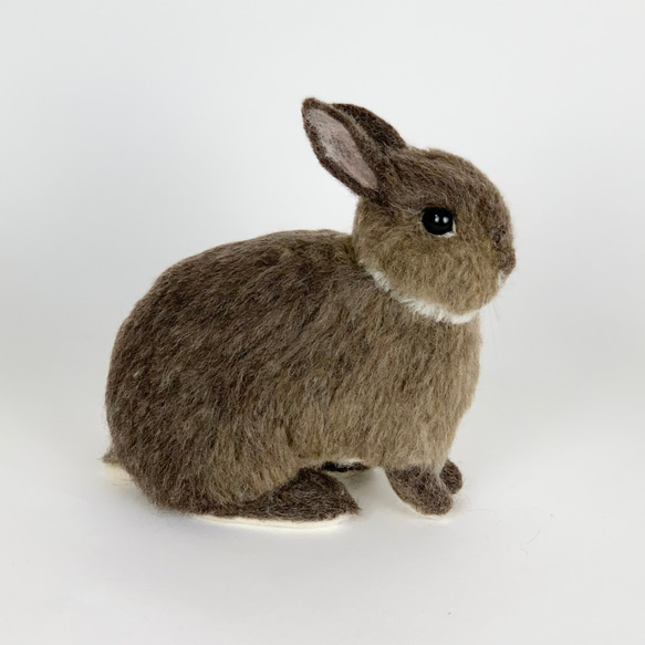 [免費送貨]毛氈兔子栗子｜寵物兔子手工兔子 第4張的照片