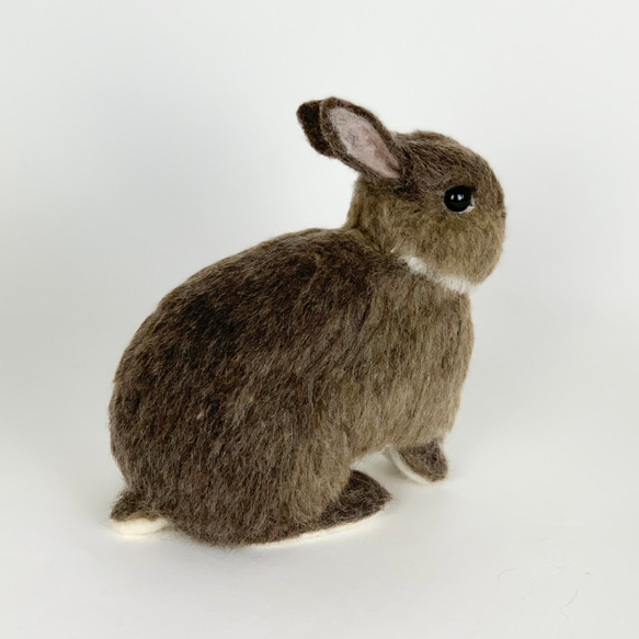 [免費送貨]毛氈兔子栗子｜寵物兔子手工兔子 第5張的照片
