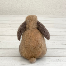 羊毛氈兔胡蘿蔔荷蘭垂耳兔 | 羊毛兔胡蘿蔔娃娃公仔 第2張的照片