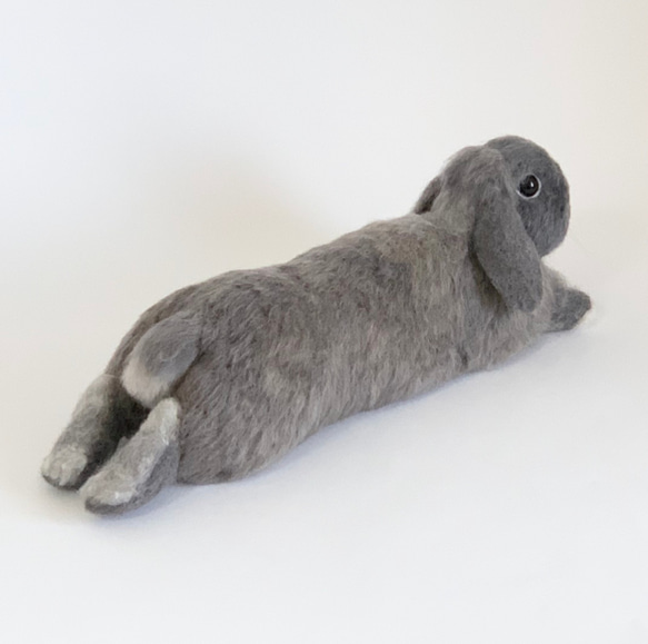 [免費送貨]毛氈兔子霍蘭滴放鬆姿勢｜寵物兔子兔子手工手工製作 第1張的照片