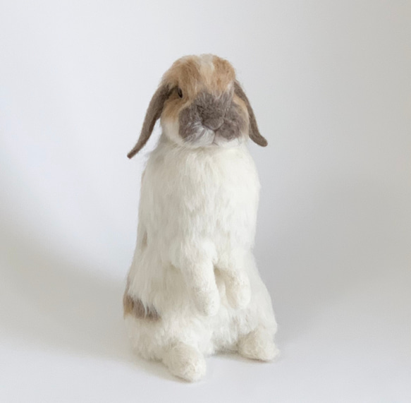 【送料無料】羊毛フェルト　うさぎ　ホーランドロップ　うたっち｜　ペット　ウサギ　ラビット　羊毛うさぎ 2枚目の画像