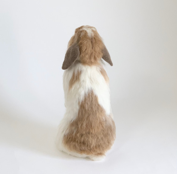 [免費送貨]毛氈兔子Horan Drop Utachi ｜寵物兔子兔子羊毛兔子 第4張的照片