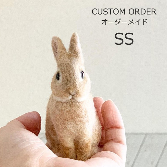 [客製化] [SS 尺寸] 羊毛氈兔子寵物我的孩子訂購毛絨玩具娃娃禮物或禮物 第1張的照片