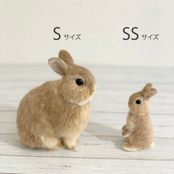 [客製化] [SS 尺寸] 羊毛氈兔子寵物我的孩子訂購毛絨玩具娃娃禮物或禮物 第2張的照片