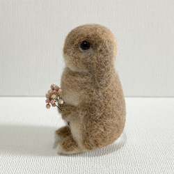 羊毛氈 Utacchi 荷蘭垂耳兔 | 羊毛兔微型垂耳兔 第1張的照片
