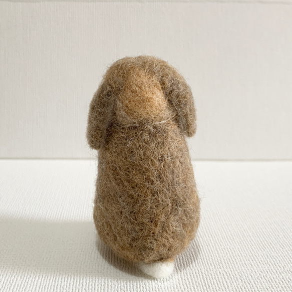 羊毛氈 Utacchi 荷蘭垂耳兔 | 羊毛兔微型垂耳兔 第4張的照片