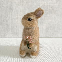 羊毛氈 Utacchi 橙色荷蘭矮人 | 羊毛兔微型兔 第1張的照片