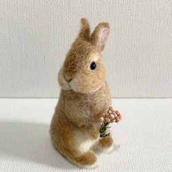 羊毛氈 Utacchi 橙色荷蘭矮人 | 羊毛兔微型兔 第3張的照片