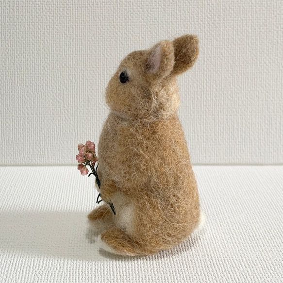羊毛氈 Utacchi 橙色荷蘭矮人 | 羊毛兔微型兔 第4張的照片