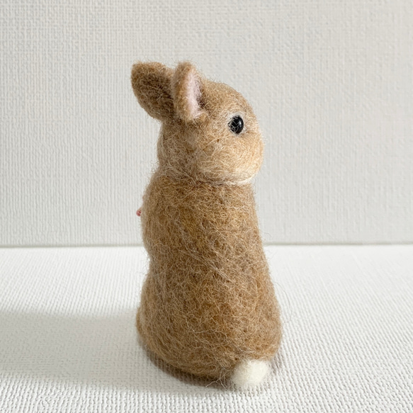 羊毛氈 Utacchi 橙色荷蘭矮人 | 羊毛兔微型兔 第5張的照片