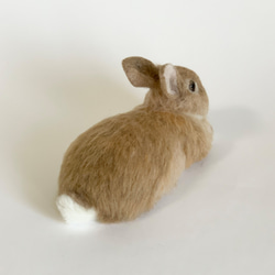 【包郵】羊毛氈兔荷蘭矮人放鬆姿勢｜娃娃毛絨公仔 第7張的照片