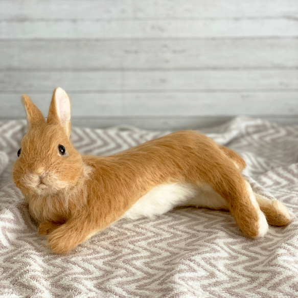 送料無料】羊毛フェルト うさぎ ネザーランドドワーフ オレンジ  