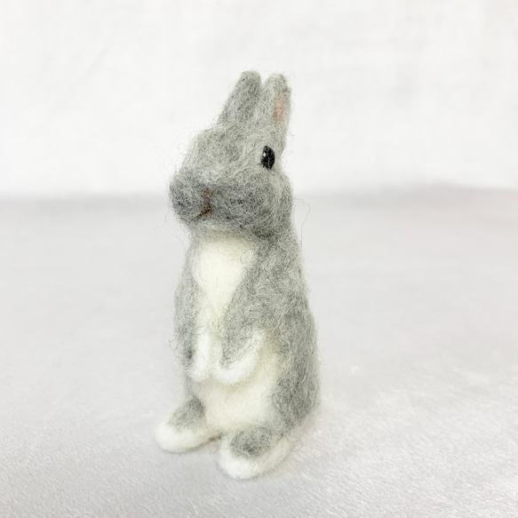 羊毛氈兔子微型銀色鬧劇|荷蘭矮人迷你尺寸S兔子手騎 第1張的照片