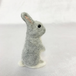 羊毛氈兔子微型銀色鬧劇|荷蘭矮人迷你尺寸S兔子手騎 第2張的照片