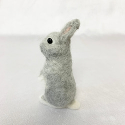 羊毛氈兔子微型銀色鬧劇|荷蘭矮人迷你尺寸S兔子手騎 第4張的照片