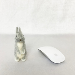 羊毛氈兔子微型銀色鬧劇|荷蘭矮人迷你尺寸S兔子手騎 第5張的照片