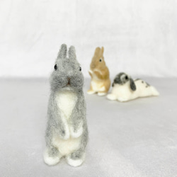 羊毛氈兔子微型銀色鬧劇|荷蘭矮人迷你尺寸S兔子手騎 第6張的照片