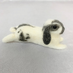 微型羊毛氈兔荷蘭下落掉了| Ropyear灰色迷你S兔子手騎 第2張的照片