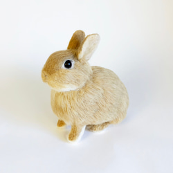 [免費送貨]羊毛氈兔子荷蘭矮橘|寵物兔子兔娃娃手工製作手工製作 第2張的照片