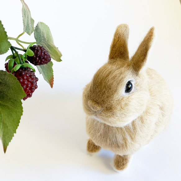 送料無料】羊毛フェルト うさぎ ネザーランドドワーフ オレンジ  