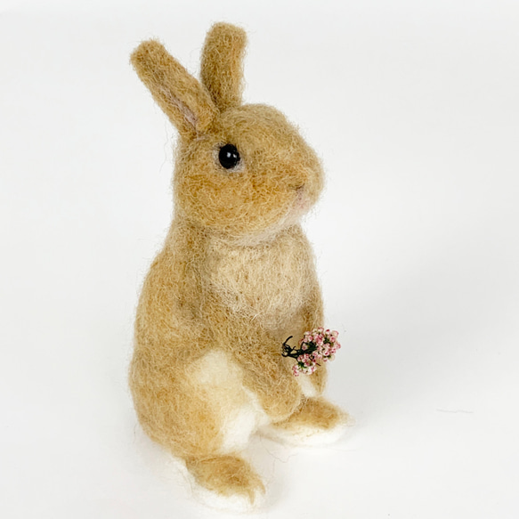 微型羊毛氈兔橙色Utachi |荷蘭小矮人迷你S兔子手騎 第1張的照片