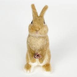 微型羊毛氈兔橙色Utachi |荷蘭小矮人迷你S兔子手騎 第2張的照片