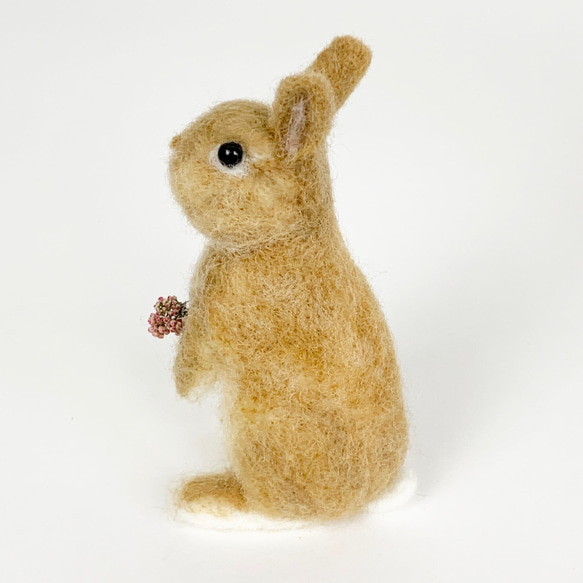 微型羊毛氈兔橙色Utachi |荷蘭小矮人迷你S兔子手騎 第3張的照片