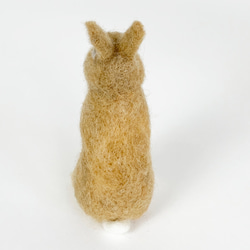 微型羊毛氈兔橙色Utachi |荷蘭小矮人迷你S兔子手騎 第4張的照片